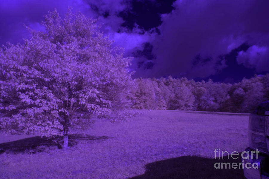Infrared Field Photograph by FineArtRoyal Joshua Mimbs