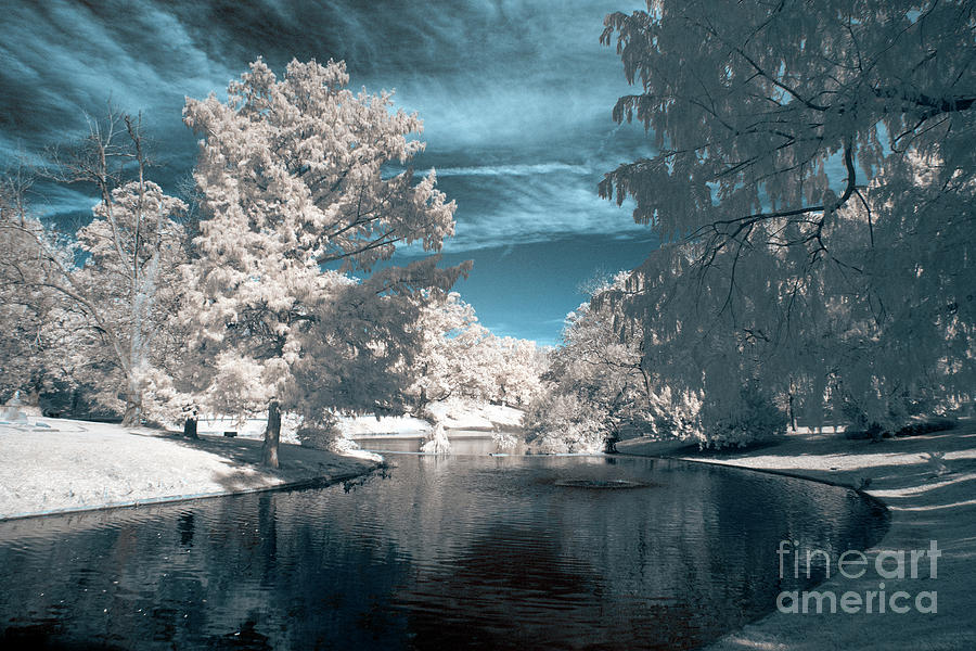 Infrared Photograph by FineArtRoyal Joshua Mimbs