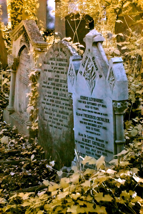 Infrared George Leybourne and Albert Chevaliers gravestone Photograph by Helga Novelli