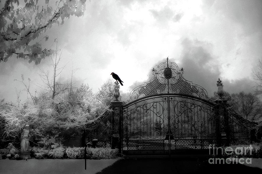 Infrared Gothic Raven On Gate Black And White Infrared Print - Solitude - Gothic Raven Infrared Art  Photograph by Kathy Fornal