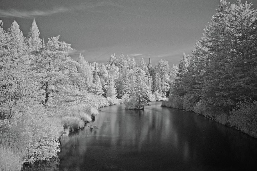 Infrared in July 6015 Photograph by Michael Peychich