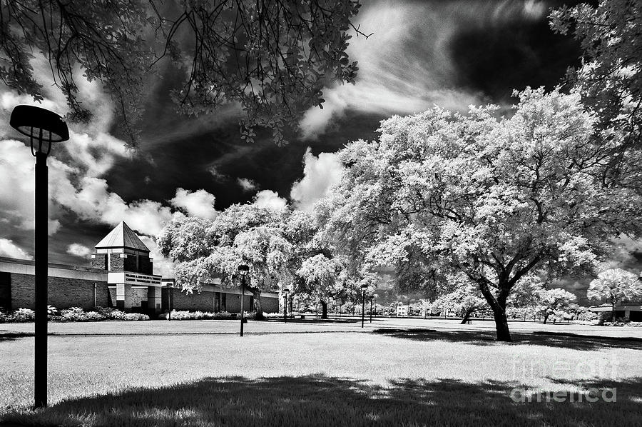 Infrared Indian River State College Chastain Campus #10 Photograph