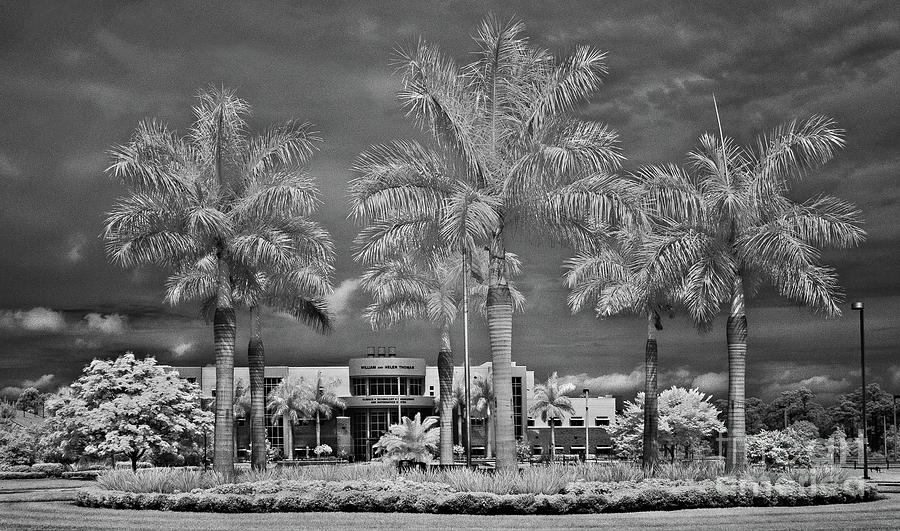 Infrared Indian River State College Pruitt Campus #1 Photograph
