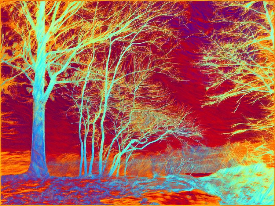 Infrared landscape Photograph by Lilia S