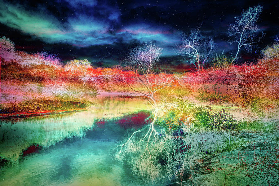 Infrared landscape reflections Mixed Media by Lilia S
