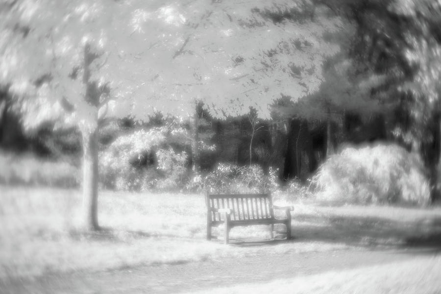Infrared Memories Photograph by Brian Hale