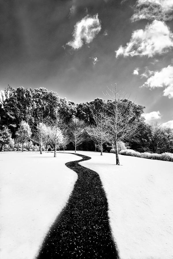 Black And White Photograph - Infrared Parkland by Russ Dixon