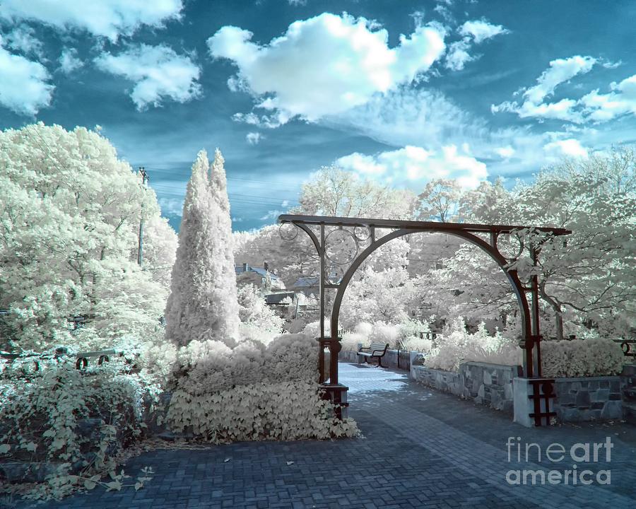 Infrared photography of Garden on the Bridge Photograph by Linda Ouellette