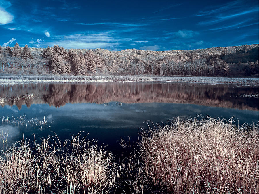 Infrared Reflections on Dry Lagoon Photograph by Greg Nyquist