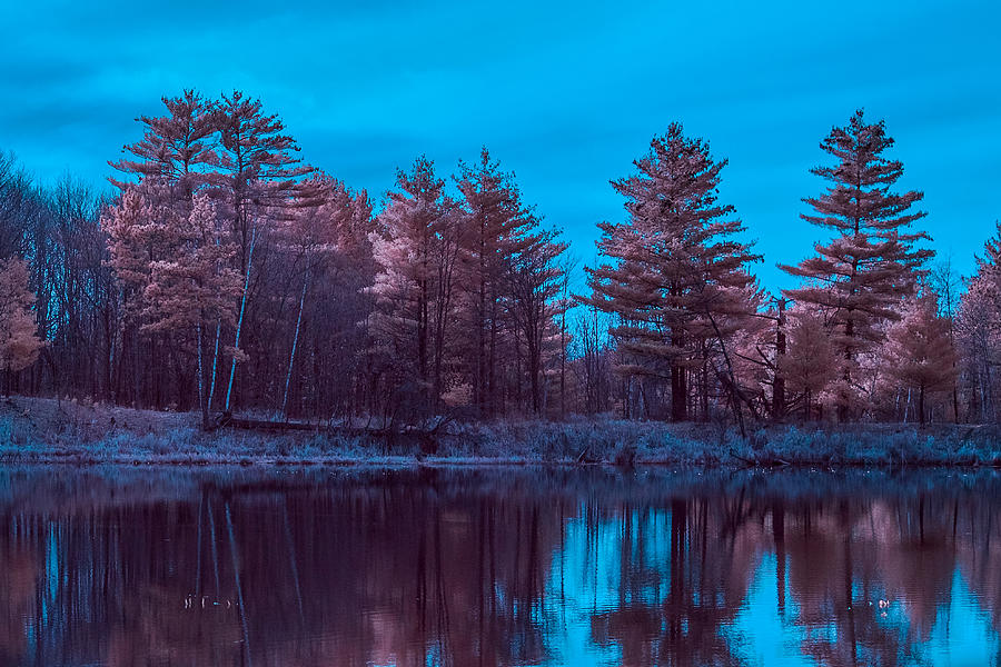 Infrared Reflections Photograph by Paul Freidlund