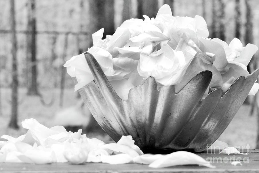 Infrared Wedding Flowers Photograph by FineArtRoyal Joshua Mimbs