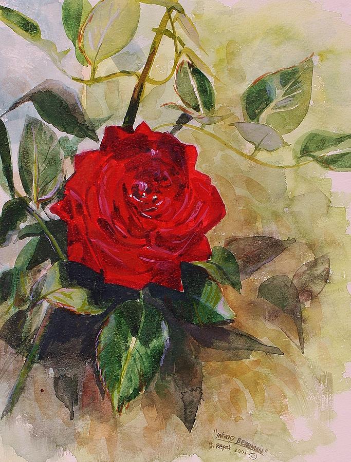 INGRID BERGMAN Rose Painting by Bruce Repei