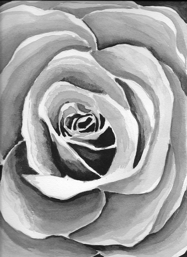 Ink Rose Drawing by Chanler Simmons