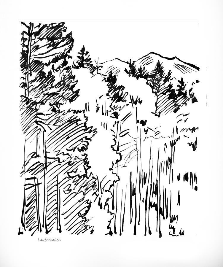 Ink Sketch of Rocky Mountains Drawing by John Lautermilch