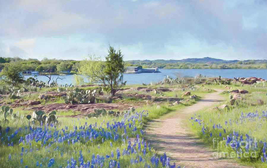 Spring Photograph - Inks Lake and bluebonnets by Darla Rae Norwood