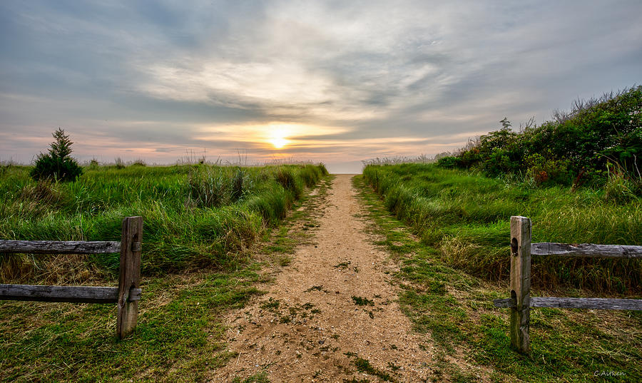 Inlet Path Photograph by Charles Aitken