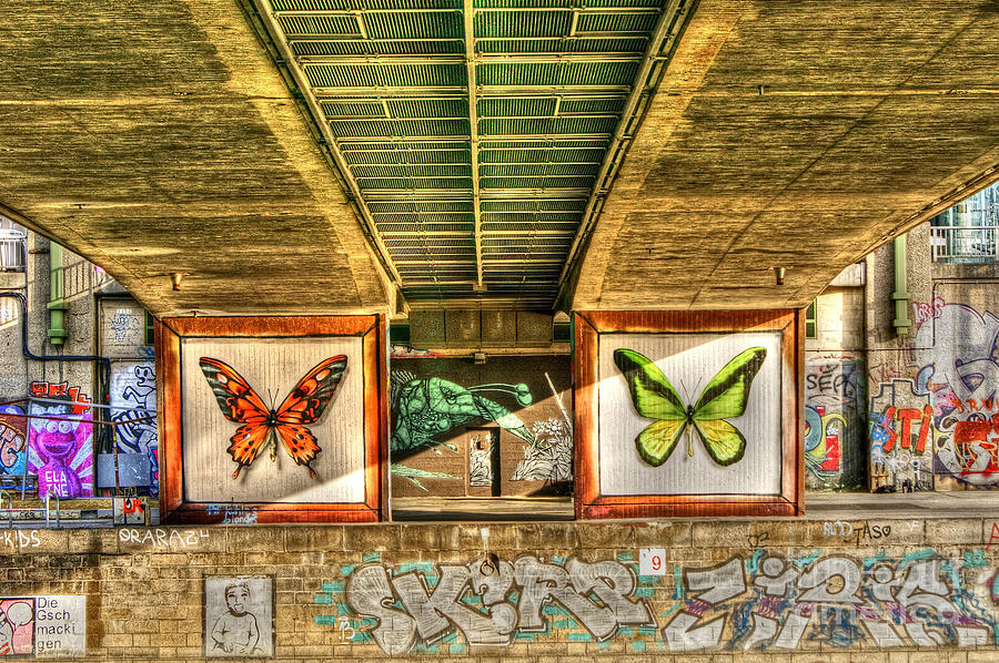 Butterfly Photograph - Inner City Butterflies by David Birchall
