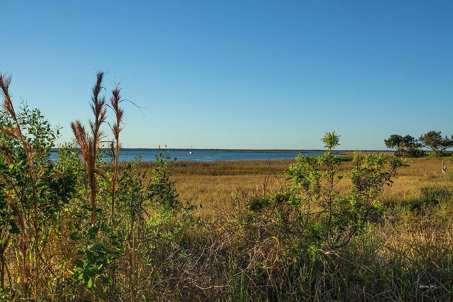 Inner Coastal Wetlands Photograph