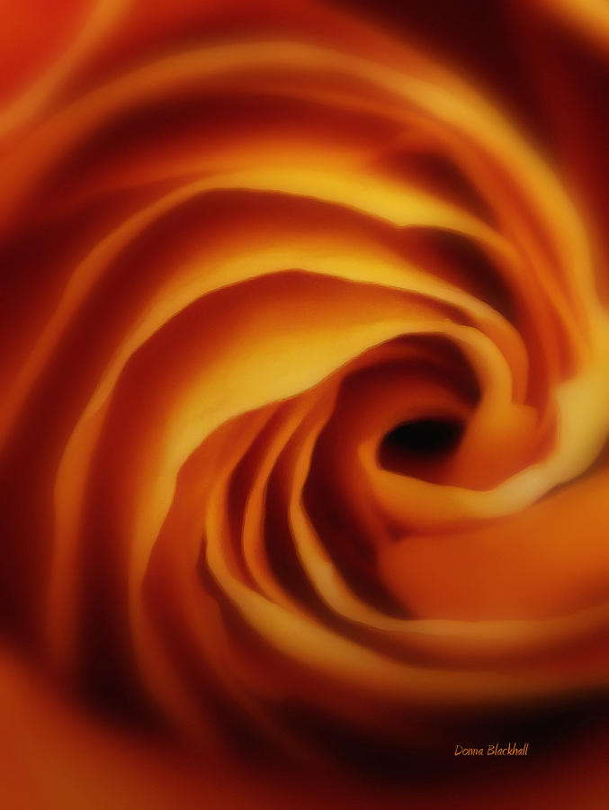 Rose Photograph - Inner Most Desire by Donna Blackhall