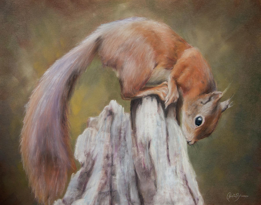 Animal Pastel - Inquisitive by Kirsty Rebecca