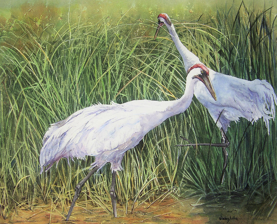 Crane Painting - Inquisitive by Vicky Lilla