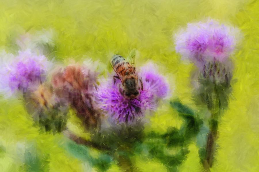 Insect on thistle 2015 artistic Photograph by Leif Sohlman