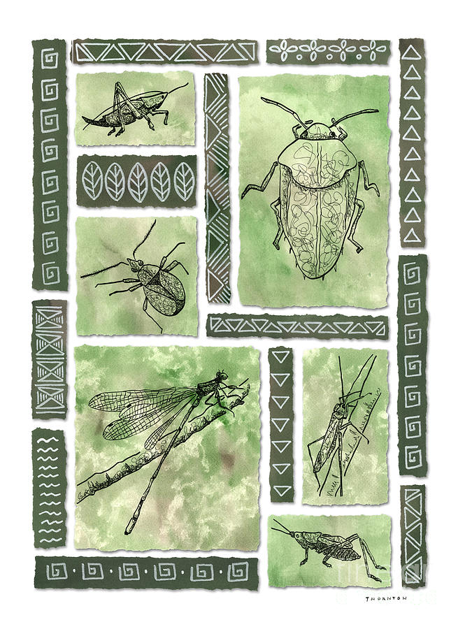 Insects of Hawaii I Painting by Diane Thornton