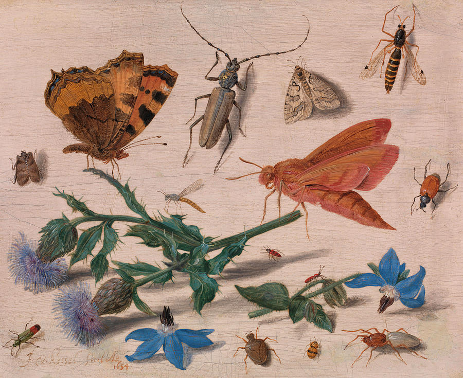 Wildlife Painting - Insects with Creeping Thistle and Borage by Jan van Kessel the Elder