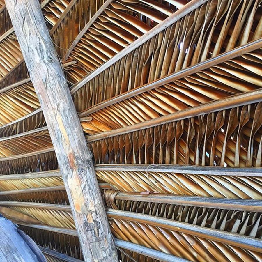 Pattern Photograph - Palm thatch detail  by Eugene Evon