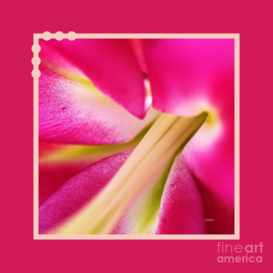 Inside Hot Pink Lily With Design Photograph by Joy Watson