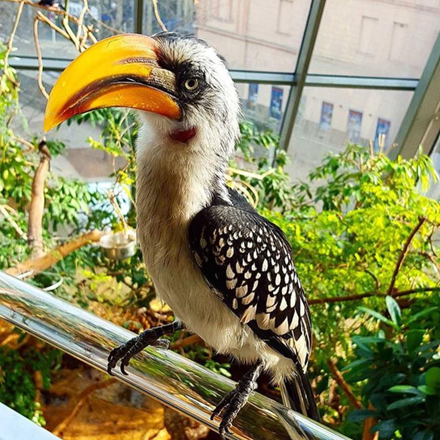 Dh Photograph - Inside The Amazing City Zoo In #vienna by Dante Harker