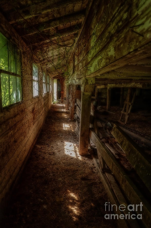 Inside the Barn Photograph by Debra Fedchin