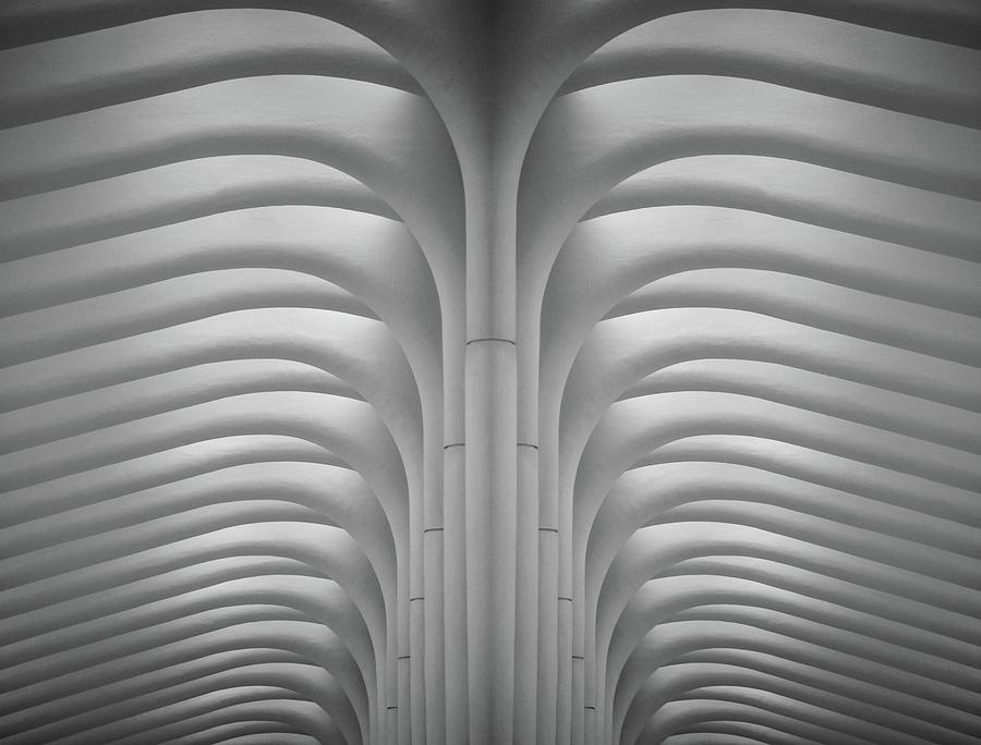 New York City Photograph - Inside The Oculus by Rand Ningali