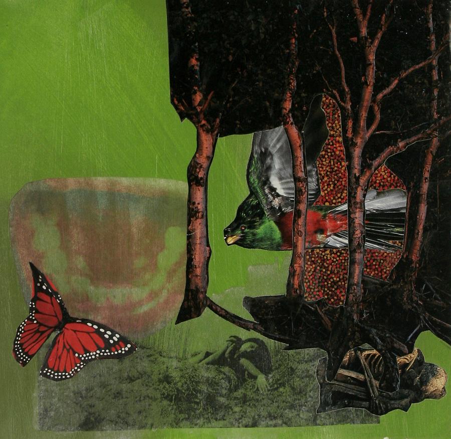 Butterfly Mixed Media - Insomnia by Rhiannon Sweet