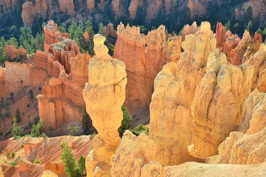 Inspiration Hoodoos Photograph by Ray Mathis