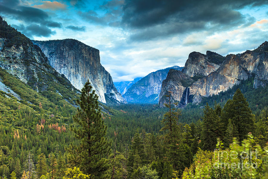 Yosemite National Park Photograph - Inspiration Point Yosemite by Ben Graham
