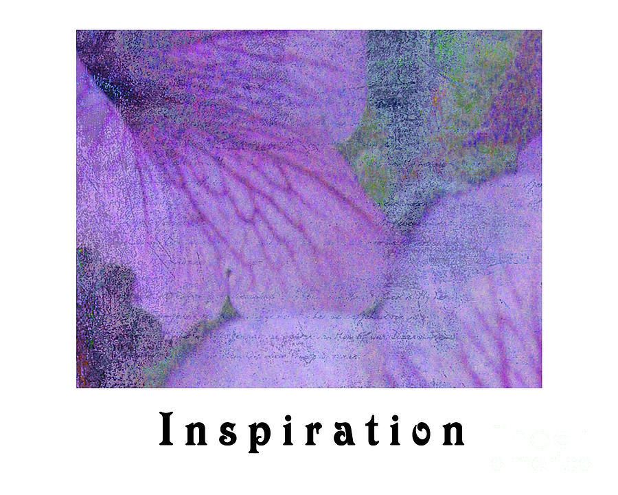 Inspiration Photograph by Traci Cottingham