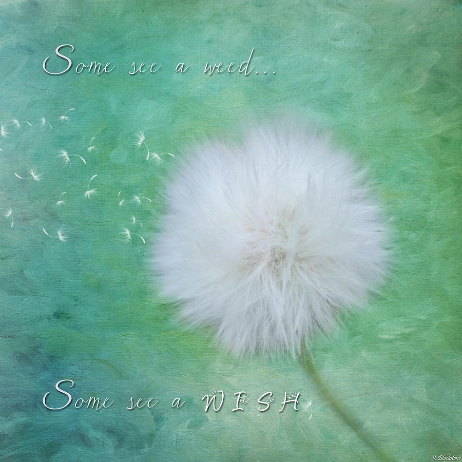 Inspirational Art - Some See A Wish Painting by Jordan Blackstone