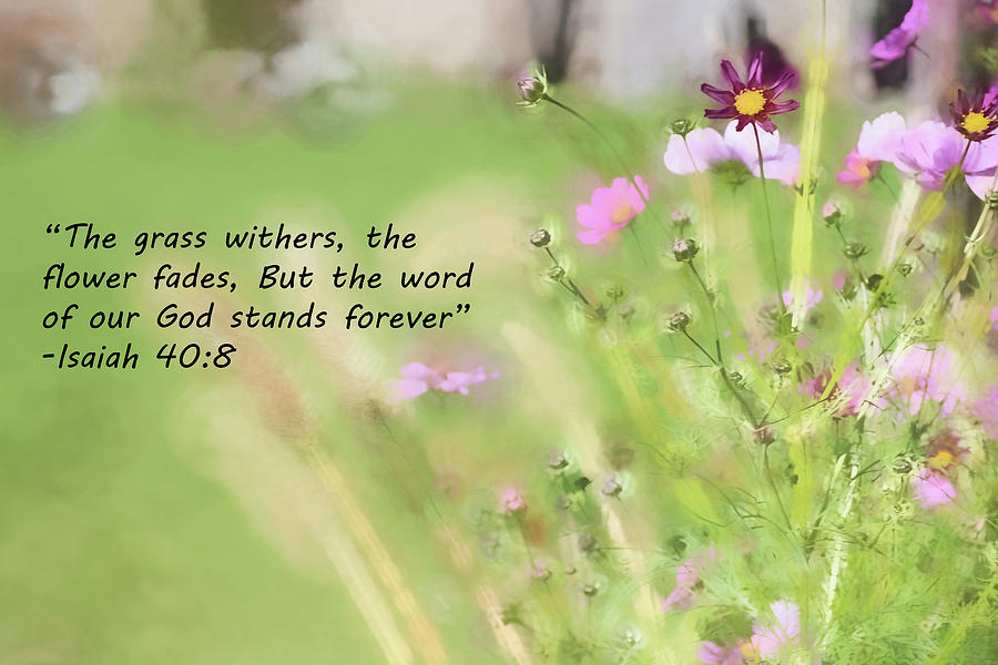 Inspirational Bible Verse - Wild Flowers Photograph by John Prause ...