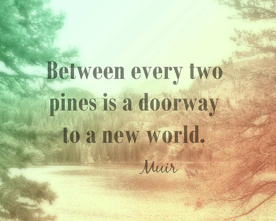 Inspirational Muir Quote  Photograph by Ann Powell