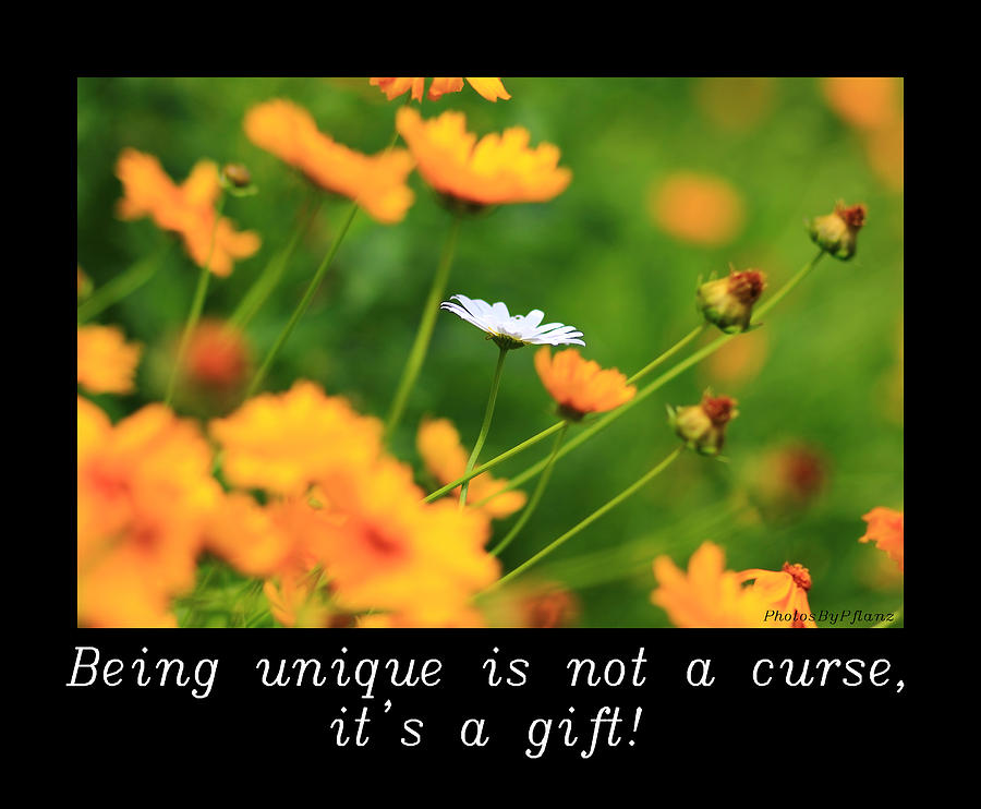 Inspirational Photograph - INSPIRATIONAL-Being unique is a gift by Brian Pflanz Inspirational Photograph - INSPIRATIONAL-Being unique is a gift by Brian Pflanz