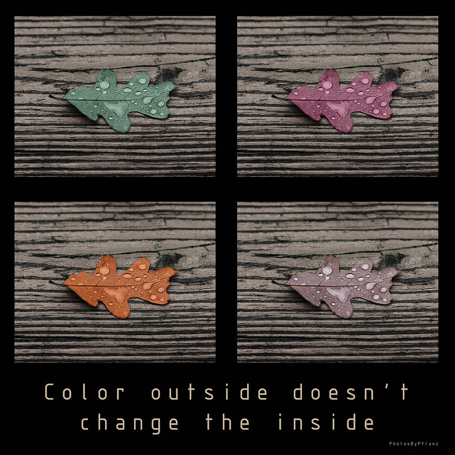 Color Photograph - Inspirational poster-COLOR OUTSIDE by Brian Pflanz Color Photograph - Inspirational poster-COLOR OUTSIDE by Brian Pflanz