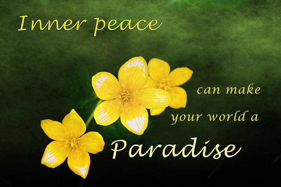 Inspirational Print, Yellow Spring Flower, Inner Peace can make your world a paradise, Photograph by Gwen Gibson