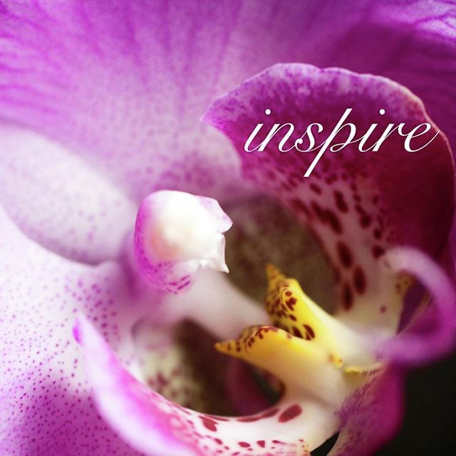 Orchid Photograph - Inspire by Crystal Rayburn