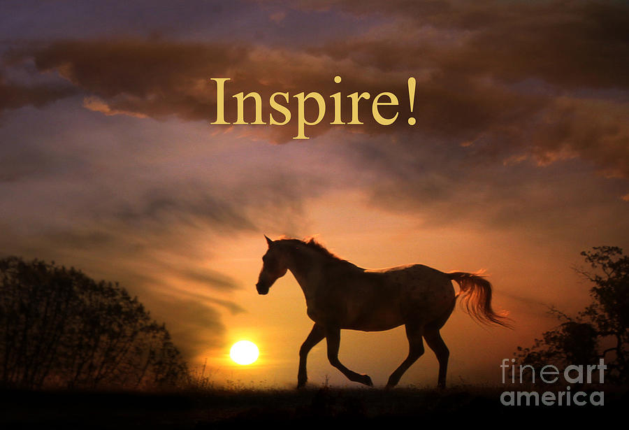 Inspire Photograph by Stephanie Laird