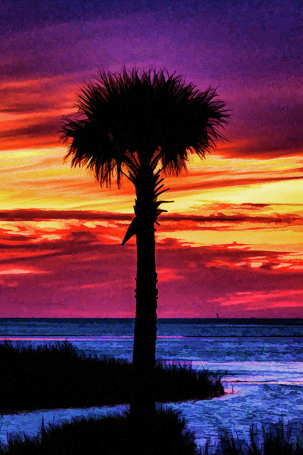Honeymoon Island Palm Tree Digital Art by Stefan Mazzola