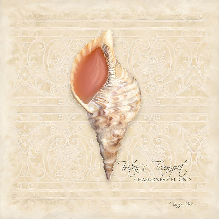 Inspired Coast 2 - Tritons Trumpet  Chaeronea Tritonis Shell Painting by Audrey Jeanne Roberts