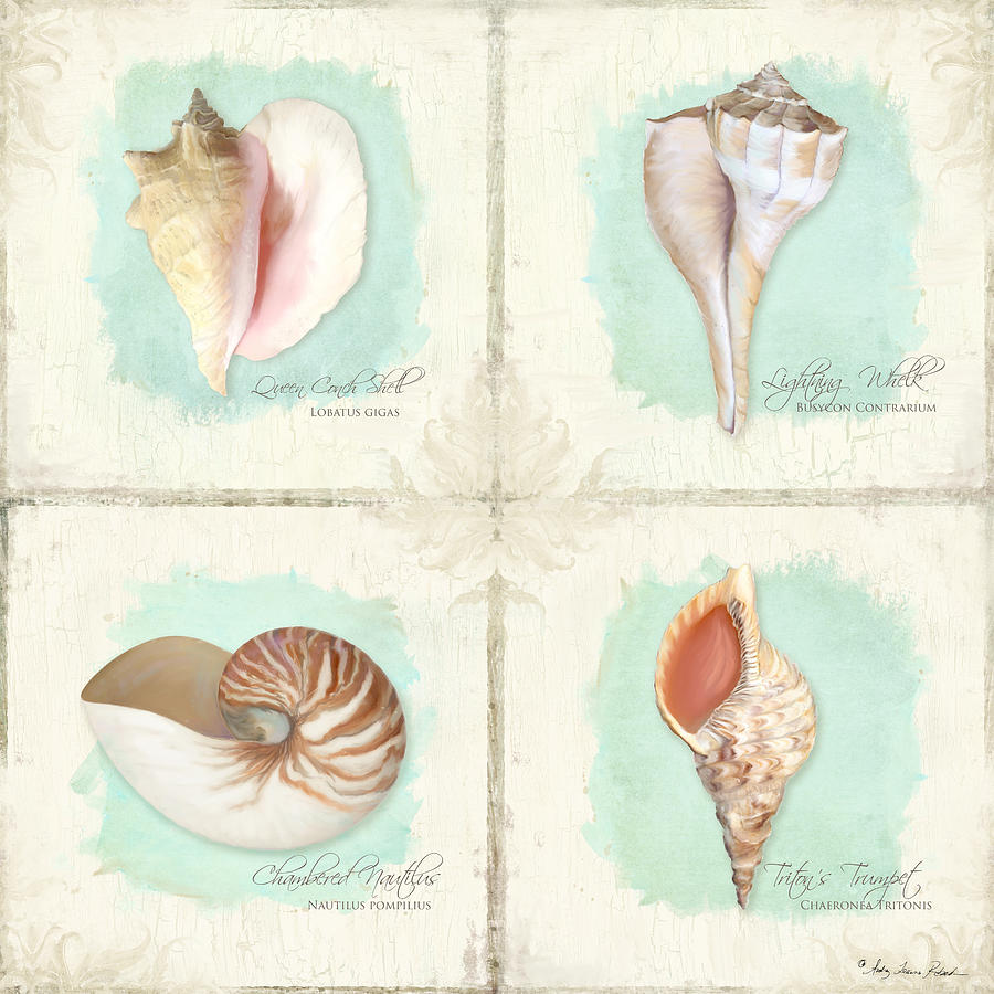 Beach Painting - Inspired Coast Quartet - Seashells on Crackle Texture Board by Audrey Jeanne Roberts