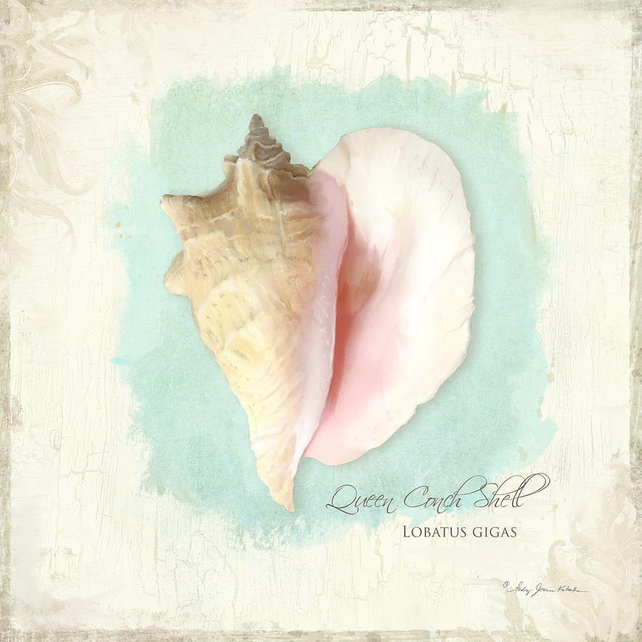 Inspired Coast VIII - Queen Conch Shell on Board Painting by Audrey Jeanne Roberts