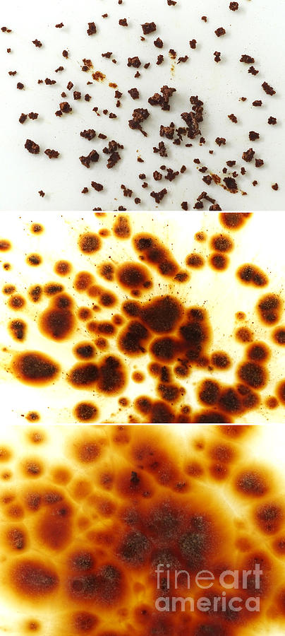 Instant Coffee Dissolving Photograph by Scimat